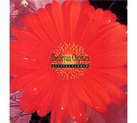Shelleyan Orphan - Century Flower [VINYL]