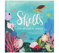 Shells: A Pop-Up Book of Wonder (4 Seasons of Pop-Up)