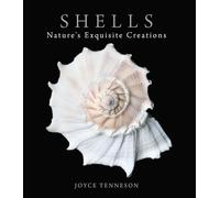 Shells: Nature's Exquisite Creations
