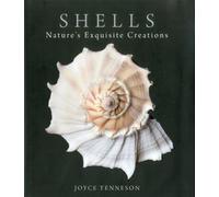 Shells: Nature's Exquisite Creations