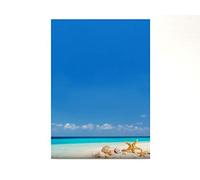 Shells on the Beach 50 Sheets Letter Paper DIN A4