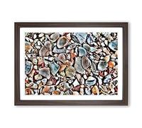 Shells on The Beach Framed Print | A2 Walnut Framed Wall Art | Ready to Hang | Modern Beach Picture | Living Room Bedroom Lounge Office