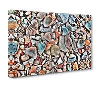 Shells on the Beach Modern Canvas Wall Art Print Ready to Hang, Framed Picture for Living Room Bedroom Home Office Décor, 30x20 Inch (76x50 cm)