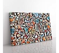 Shells on the Beach Modern Canvas Wall Art Print Ready to Hang, Framed Picture for Living Room Bedroom Home Office Décor, 76x50 cm (30x20 Inch)