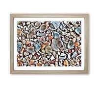 Shells on the Beach Modern Framed Print | A2 Oak Framed Wall Art | Ready to Hang | Modern Beach Picture | Living Room Bedroom Lounge Office