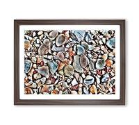 Shells on the Beach Modern Framed Print | A4 Walnut Framed Wall Art | Ready to Hang | Modern Beach Picture | Living Room Bedroom Lounge Office