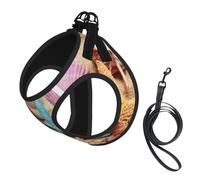 Shells on The Beach print Dog Harness and Leash Set, Reflective Adjustable Puppy Vest for Small Medium Large Dogs, Cats