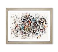 Shells On The Beach Vol.2 Watercolour Modern Framed Print | A4 Oak Framed Wall Art | Ready to Hang | Modern Beach Picture | Living Room Bedroom Lounge Office