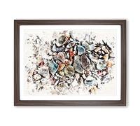 Shells On The Beach Vol.2 Watercolour Modern Framed Wall Art Print, Ready to Hang Picture for Living Room Bedroom Home Office Décor, Walnut A3 (46 x 34 cm)