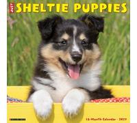 Willow Creek Press, Just Sheltie Puppies 2027 Wall Calendar