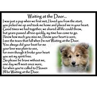 Sheltie Shetland Sheepdog Pet Dog Rainbow Bridge Memorial Fridge Magnet - Waiting at The Door