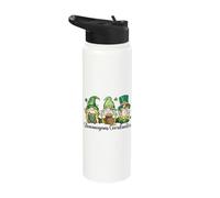 Shenanigans Coordinator Irish Gnomes - St Patricks Day Stainless Steel Insulated Water Bottle