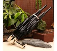 Sheng, A Traditional Chinese Wind Instrument, Is Suitable for Beginners in The Key of D,14-Spring,for Weddings/Festivals,A