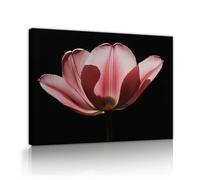 SHENGPOSTER Stretched Canvas Print Soft Pink Tulip Bloom on Black Backdrop Nature Minimalist Wall Art Pictures for Bedroom Reading Nook Wall Decor 90x120cm Innerframe