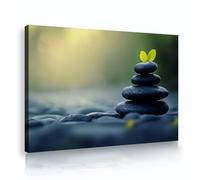 SHENGPOSTER Zen Balance Stone Canvas Prints Wall Art Minimalist Style Home Decor Green Leaf Wall Painting for Living Room Study Room Ready to Hang 35x52cm Innerframe