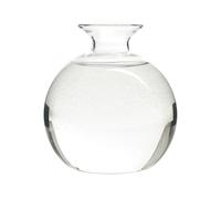 Shenrongtong Avocado Vase, Clear High Borosilicate Glass Avocado Seed start Vase, Avocado Tree Growing Kit, Reusable Round Hydroponic Vase, universa Avocado Growing Vase For Plants Indoor Outdoor