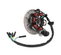 shenruifa Magneto Stator Plate Coil Replacement for LIFAN YX Trail Dirt Bike - Durable Copper & Stainless Steel
