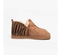 Shepherd Chestnut Tiger, 5 UK