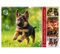 Shepherd love - your daily dose of puppy joy - without the walk. UK-Version (Wall Calendar 2026 DIN A3 Landscape), CALVENDO 12 Month Wall Calendar