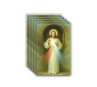 Shepherd's Grace Divine Mercy Chaplet Prayer Cards, Laminated 5-Pack