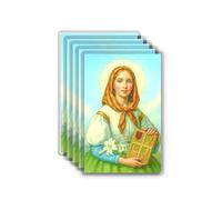 Shepherd's Grace St. Dymphna Prayer Cards - Laminated Catholic Holy Cards, 5 Pack - Patron Saint of Mental & Emotional Strength - Durable Wallet Size Devotional Cards