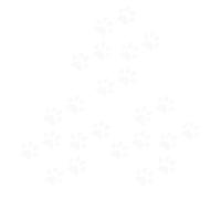 SHERCHPRY 24PCS Cat Footprint Car Decals 3D Carbon Fiber Vinyl Stickers 11cm x 6cm White Car Body Decorative Stickers Motorcycle Decoration Set for Vehicle Exterior