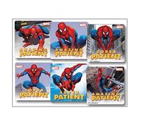 Sherman Spiderman Patient Stickers - 1 Pack of 100 Stickers