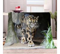 Sherpa Fleece Blanket 100x130 cm Animal Clouded Leopard Throw Dual Sided Plush Fabric Extra Soft Thermal Fluffy Blanket Sherpa Throws for Bed Sofa Chair and Travel