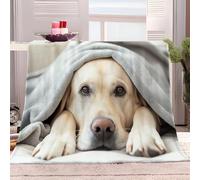 Sherpa Fleece Blanket 100x130 cm Pet Labrador Retriever Throw Dual Sided Plush Fabric Extra Soft Thermal Fluffy Blanket Sherpa Throws for Bed Sofa Chair and Travel