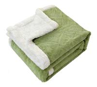 Sherpa Fleece Blanket for Sofa Super Soft Throw Bed Blanket Double Size Cozy Warm Blankets for Couch, Armchair, 150x200cm, Green