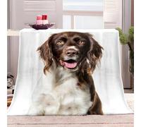 Sherpa Fleece Blanket Springer Spaniel 180x220 cm Throw Dual Sided Plush Fabric Extra Soft Thermal Fluffy Blanket Sherpa Throws for Bed Sofa Chair and Travel