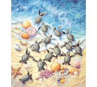 Sherry Vintson - Green Turtle Hatchlings