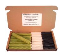Sherwood Forest Candles - 7 Day Witch's Beeswax Spell Candle kit - Pale Green for Prosperity, Success and Luck