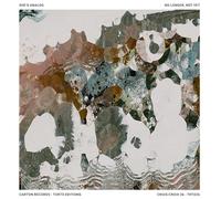 She's Analog - No longer, not yet [VINYL]