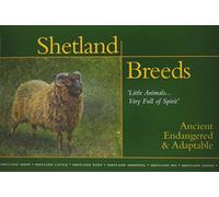 Shetland Breeds: Little Animals- Very Full of Spirit, Ancient, Endangered & Adaptable
