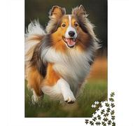 Shetland Sheepdog 1000 Piece Adult Jigsaw Puzzles Festive Gifts Family Challenging Educational Challenge Home Decoration for Adults And Kids Age 12 Years Up 1000pcs (75x50cm)