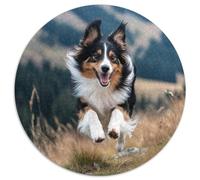Shetland Sheepdog 1000 Piece Jigsaw Puzzle for Kids And Adults Pet Dogs Colourful Jigsaws Challenge Games Great Gift 1000pcs (67.5x67.5cm)