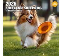 Shetland Sheepdog 2026 Calendar: Agile herders with gentle eyes