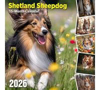 Shetland Sheepdog 2026 Calendar: Agile herders with gentle eyes