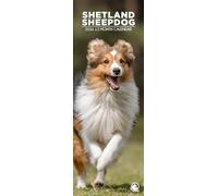 Shetland Sheepdog 2026 Wall Calendar, 12-Month Slim Format, Made in England