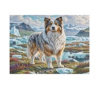 Shetland Sheepdog 500 Piece Complete DIY Jigsaw Puzzle Cute Pet Collectors Mind Relaxation Educational Decorative Puzzle Gifts for Adults Sturdy Thick Cardboard 500 PCS