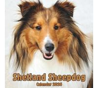 Shetland Sheepdog Calendar 2026: 14-Month Organizer from Nov 2025 to Dec 2026 | Perfect for Home, Office, School & Family Scheduling, For Men , Women , Girls , Boys