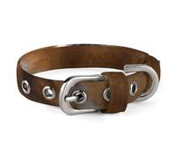Shetland Sheepdog Collar Easy-Fastening Buckle，Pet Supplies Adjustable ，Dog Collar The D-Ring Design Allows for Towing Or Hanging Tags，for Small to Medium-Sized Dogs.