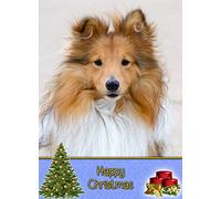 Shetland Sheepdog Dog Christmas Card 'Happy Christmas' - Special Animal Xmas Card for Him Her from Pets Kids