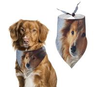 Shetland Sheepdog in The Snowy Cute Dog Bandana Triangle Adjustable Washable