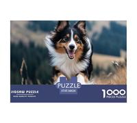 Shetland Sheepdog Puzzles 1000 Pieces for Adults Animal Fun Challenging Brainteasing Jigsaw Colourful Home Decoration Randomly Shaped 38x26cm/1000pcs