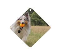 Shetland Sheepdog Running in The Grass Automotive Air Fresheners Rhombus