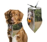 Shetland Sheepdog Running in The Grass Bandanas for Dogs Triangle Pet Bibs
