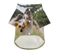 Shetland Sheepdog Running in The Grass Dog Shirts Summer Pet Clothes Comfort T-Shirts Short Sleeveless Top for Cats Dogs