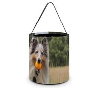 Shetland Sheepdog Running in The Grass Halloween Tricking Or Treating Bag